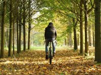 Fahrrad-Kalender 2024 – Eindrucksvolle Aufnahmen Fahrrad-Kalender 2024 – Eindrucksvolle Aufnahmen