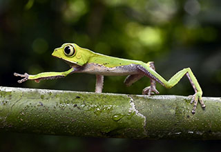 peru-manu-description-01