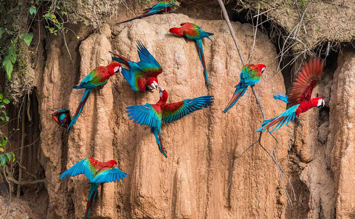 Private luxury tour to Peru experiencing the Amazon Rainforest and Machu Picchu