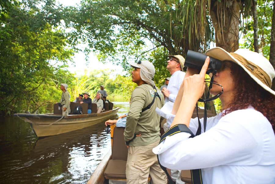 Birdwatching in the Amazon Rainforest - Amazon Luxury Cruise kuoda-blog-birdwatching-in-the-amazon