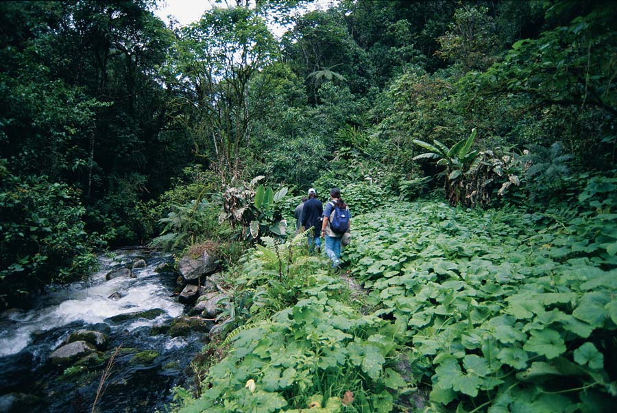 Inkaterra Machu Picchu Pueblo Hotel - Nature Excursions kuoda-blog-inkaterra-machu-picchu-jungle-excursions