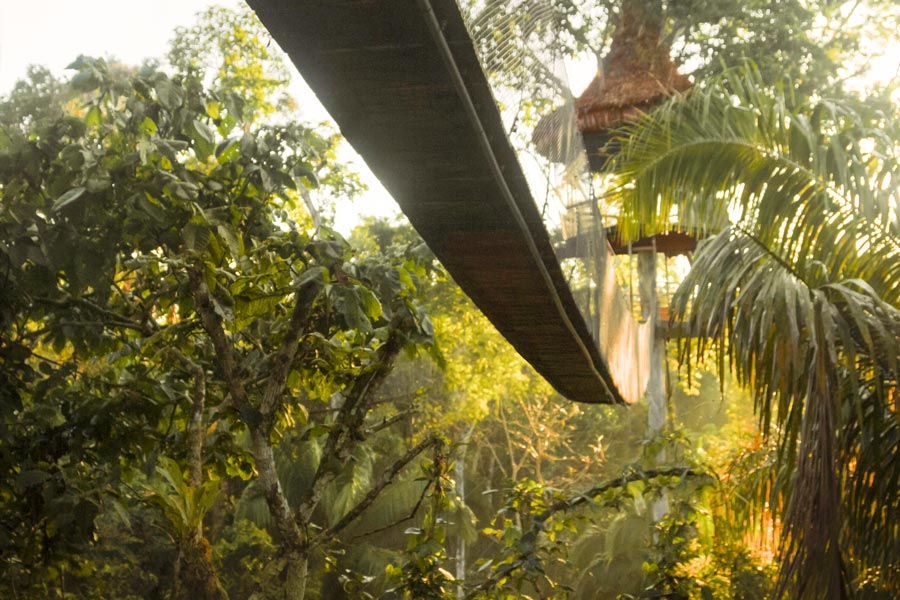 Relax in the caonpy of the Amazon Rainforest - Treehouse Lodges kuoda-blog-tree-house-lodges