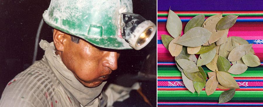 A Miner Worker Chewing Coca Leaves coca-leaf-ancestral-miner-chewing-coca