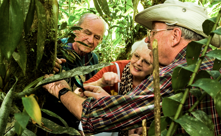 An Expert Guide Showing the Flora at Machu Picchu kuoda-blog-expert-guide-machu-picchu-featured