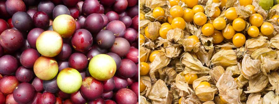 Camu Camu & Aguaymanto - Native Fruits of Peru kuoda-blog-being-vegetarian-peru-local-fruits