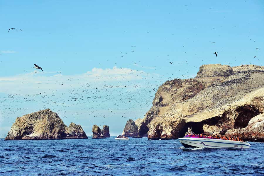 Experience the Ballestas Islands of Peru kuoda-blog-insider-access-ballestas-island-private-yatch-tour