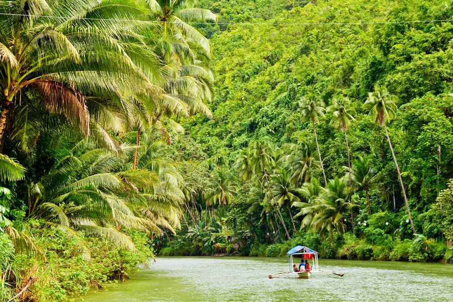 the-amazon-river-travel-pink-dolphin