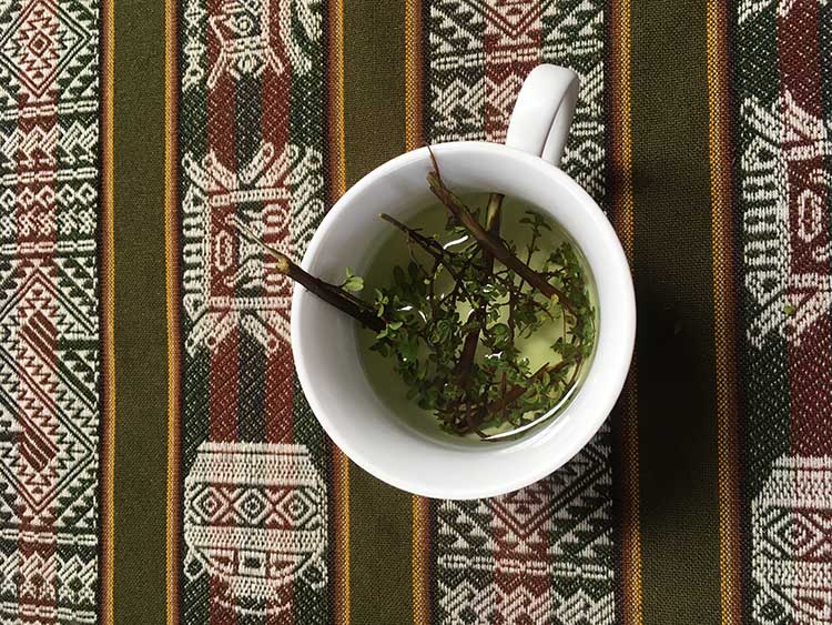 muña tea