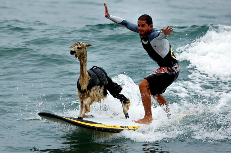 Minimizing Culture Shock in Peru