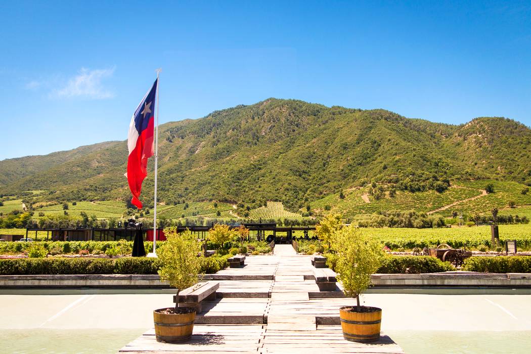 Chile wine country