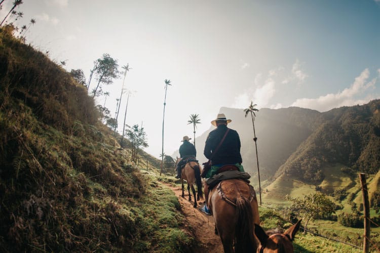 Cocora Valley Colombia
