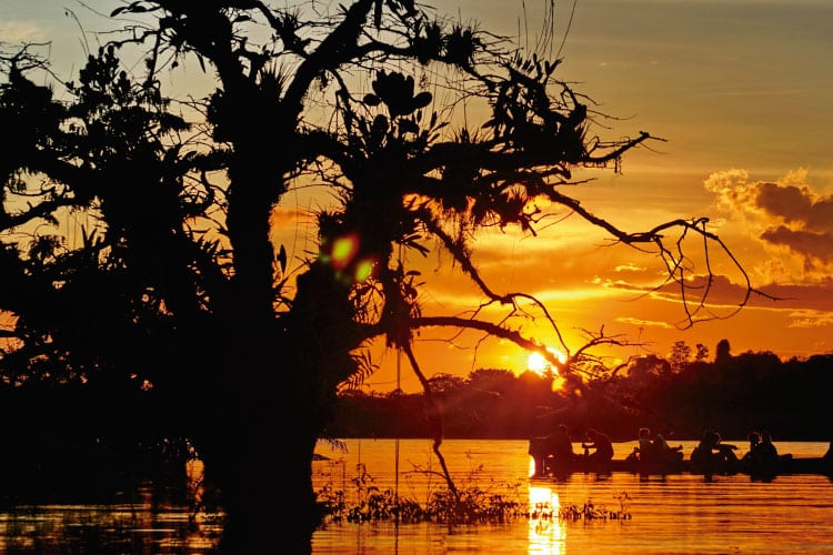 6 Most Exciting South American Cities in the Amazon Rainforest