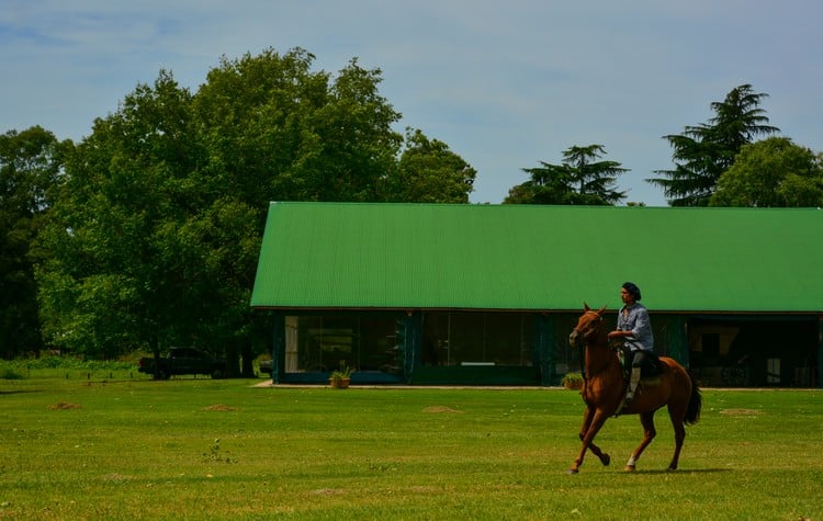 What to know about The Pampas of Argentina